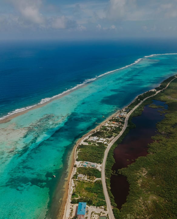The Reef