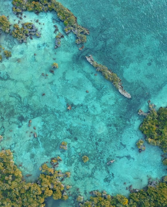 The Cayes